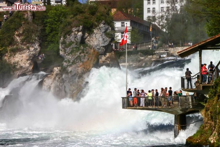 Immagine Cascate sul Reno a Sciaffusa, il punto di osservazione - © nui7711 / Shutterstock.com