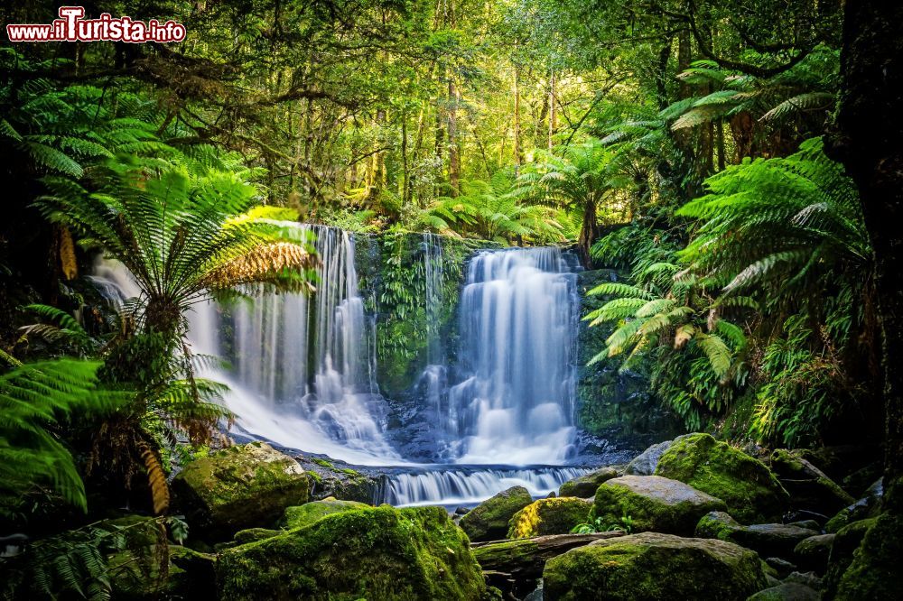 Immagine Le cascate di Horseshoe Falls sono tra le più belle dell'Australia e si trovano sul Mt Field National Park, in Tasmania.