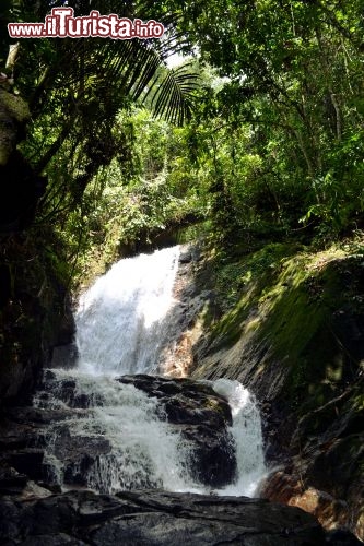Immagine Cascate presso Gopeng: nello stato malese del Perak la giungla può essere vissuta in modo divertente con trekking, escursioni, waterfall abseiling e rafting lungo i corsi d'acqua della regione.