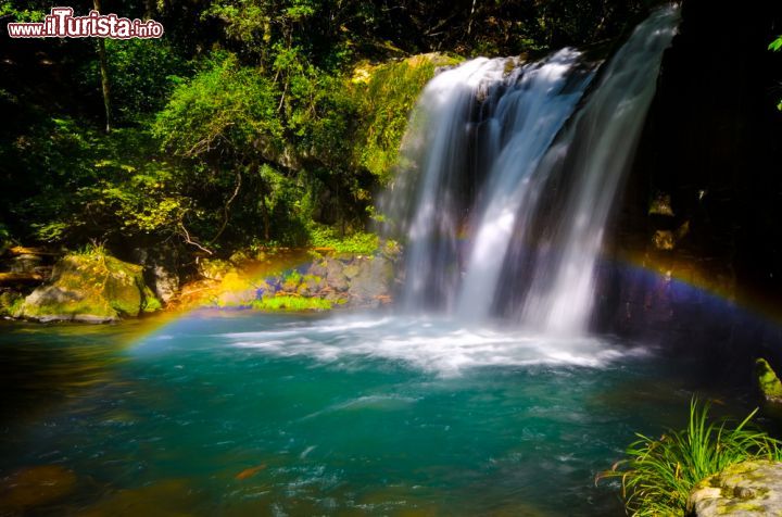 Immagine Parco nazionale di Fuji-Hakone-Izu, Giappone - Situato nella parte occidentale di Tokyo, questo parco nazionale è costituito dal monte Fuji, dai Cinque Laghi Fuji, Hakone, la penisola e le isole di Izu. Istituito nel febbraio 1936, questo parco nazionale che riunisce un insieme di siti turistici che costeggiano la regione è anche uno dei primi quattro creati in Giappone. Qui una bella cascata di Kawazunanadaru © eye-blink / Shutterstock.com