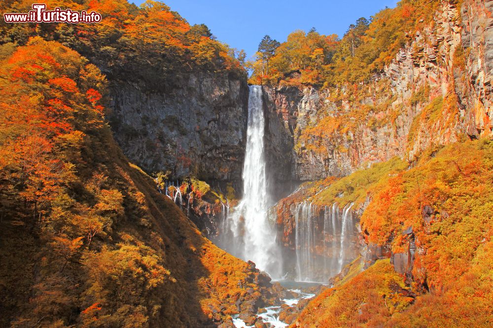 Immagine Cascate Kegon nella stagione autunnale a Nikko, Giappone. E' soprattutto in autunno quando il colore delle foglie degli alberi cambia che i turisti sono attratti da questa bellezza naturale: le cascate, alte 97 metri, sono alimentate dall'acqua del lago Chuzenji.