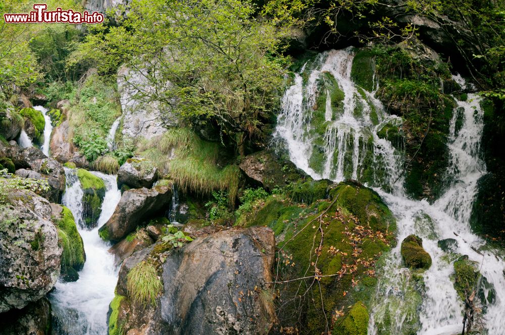 Immagine Cascate nei dintorni di Stenico in Trentino