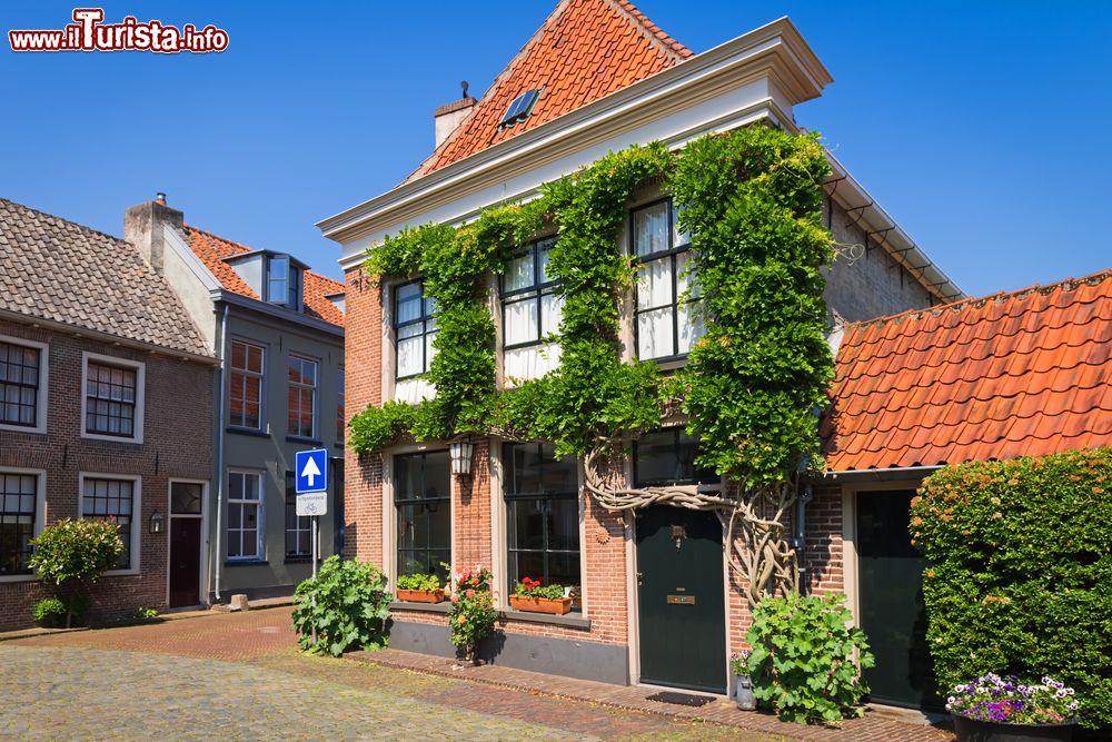 Immagine Case a due piani in una strada della città di Doesburg, Olanda. Siamo nella provincia di Gheldria in una graziosa località di poco più di 11 mila abitanti.