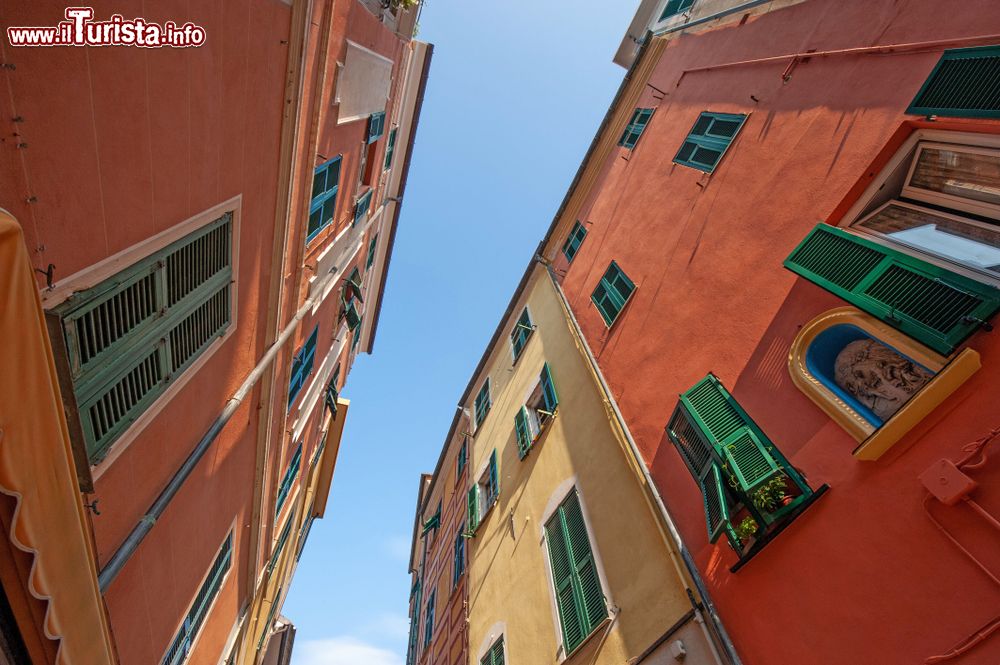 Immagine Case affacciate su una stradina del centro storico di Celle Ligure, Liguria (Italia).