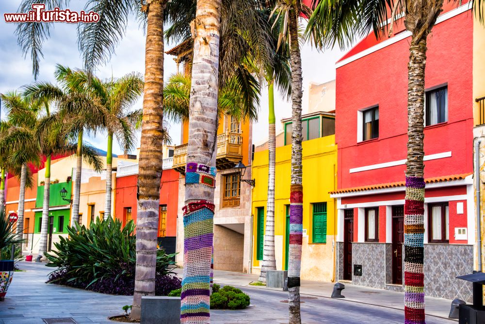 Immagine Case dalle facciate colorate e palme in una strada di Puerto de la Cruz, Tenerife, Spagna.