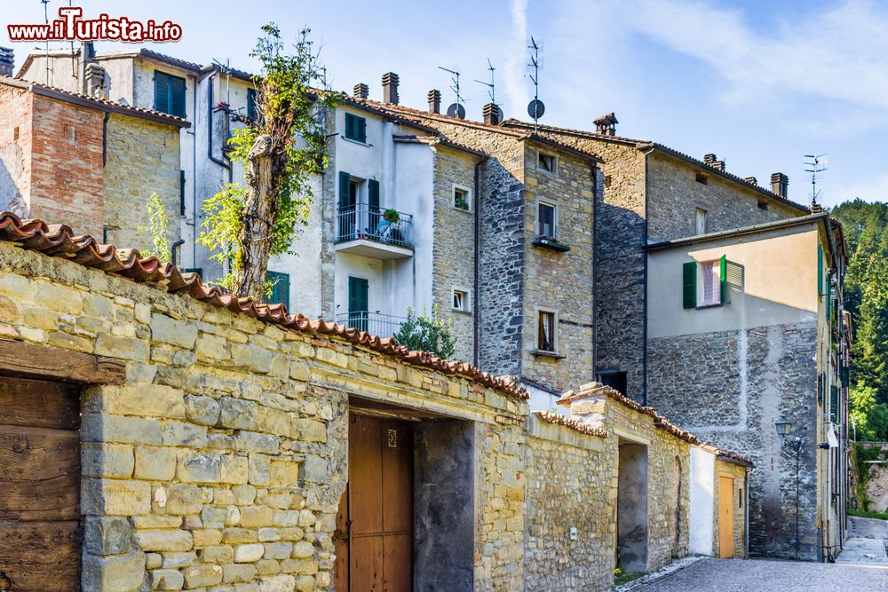 Immagine Case della cittadina di Tredozio in Emilia-Romagna