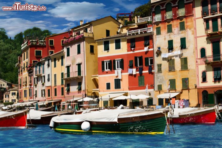 Immagine Case e barche a Portofino, Genova, Liguria. Una veduta dello splendido borgo marino circondato da colline di lecci e pini d'Aleppo  - © marcogarrincha / Shutterstock.com