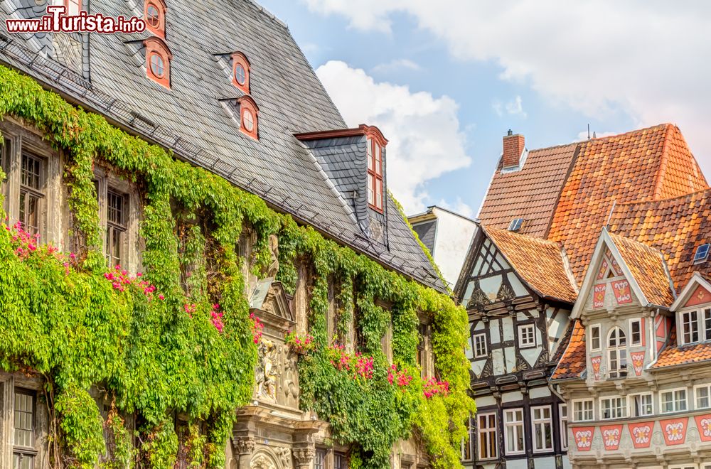 Immagine Case in legno incorniciate dall'edera nella città di Quedlinburg, Germania.