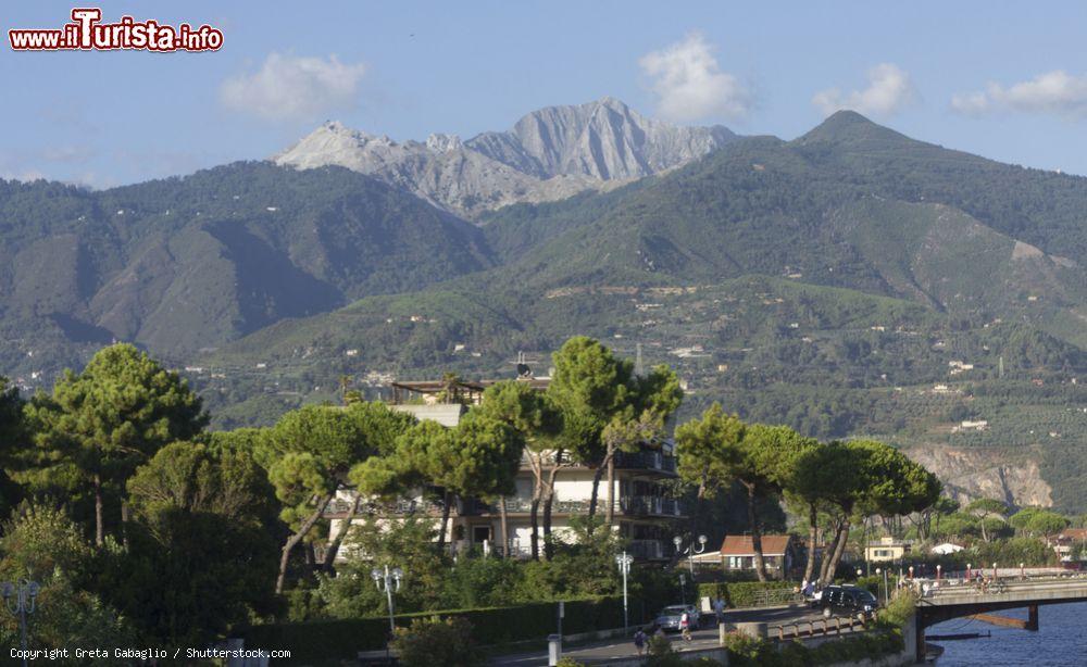 Immagine Case in mezzo ai pini costieri a Massa Marittima, sullo sfondo le Alpi Apuane dove si trovano le celebri cave di marmo - © Greta Gabaglio / Shutterstock.com