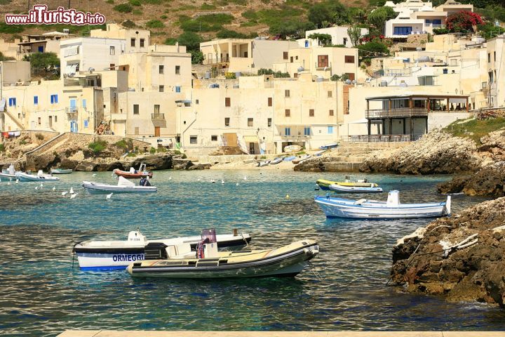 Immagine Case sull'isola di Levanzo, Sicilia. Facciate sobrie e lineari per le abitazioni costruite sull'isola: a impreziosirle ci pensa la rigogliosa vegetazione di quest'angolo di Sicilia - © cancer741 / Shutterstock.com