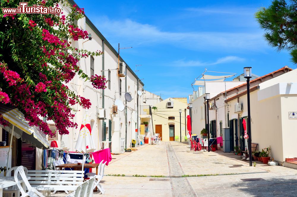 Immagine Case nel centro di San Nicola, la seconda isola abitata dell'arcipelago delle Tremiti (Puglia).