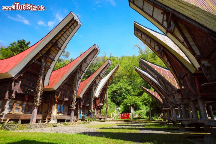 Immagine Le tongkonan sono le case tipiche dei villaggi tradizionali in molte zone di Sulawesi popolate dall'etnia Toraja - foto © 88472539 / Shutterstock.com