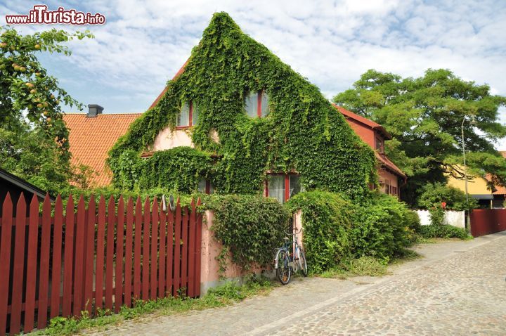 Immagine Nella tranquilla città di Visby il traffico alle auto dentro le mura è vietato nei mesi estivi. Camminando per il borgo, si possono ammirare le tipiche case locali i con tetti spioventi - Foto © a40757 / Shutterstock.com