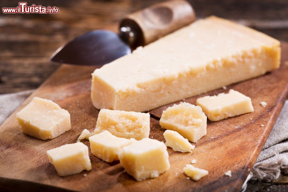 Immagine Casina, Reggio Emilia: la Festa del Parmigiano