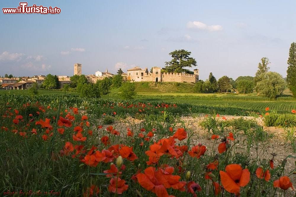 La Festa Dei Fiori A Castellaro Lagusello Date