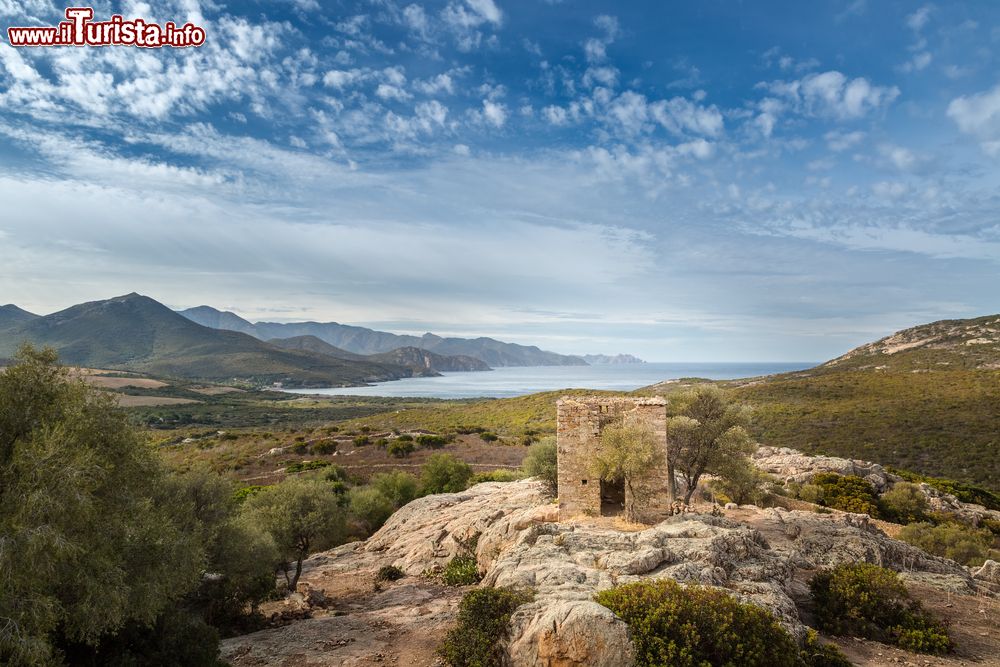Immagine Il Castello  del Principe Pierre Bonaparte sulla costa a nord di Galeria in Corsica