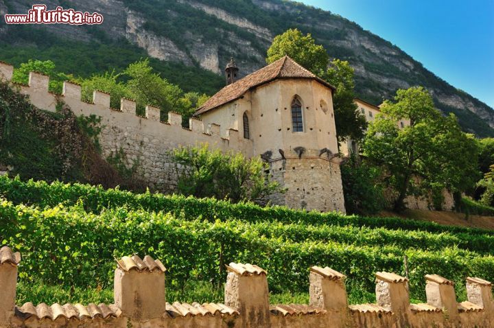 Immagine il Castello dellaTorre a Mezzolombardo in Trentino - © www.pianarotaliana.it