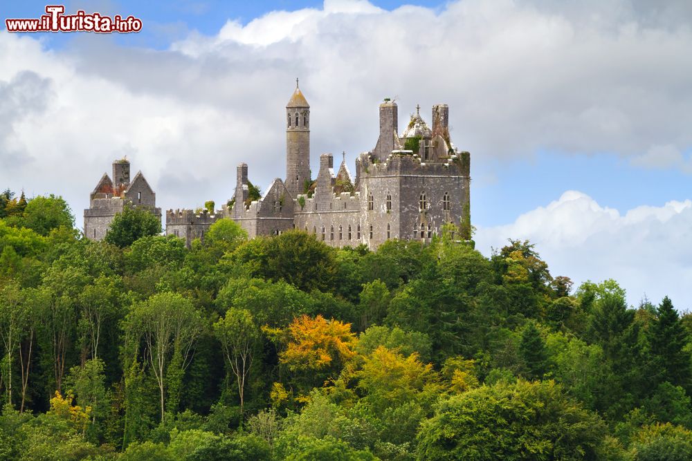 Castello di Dromore a Limerick, Irlanda. Sorge ... | Foto Limerick