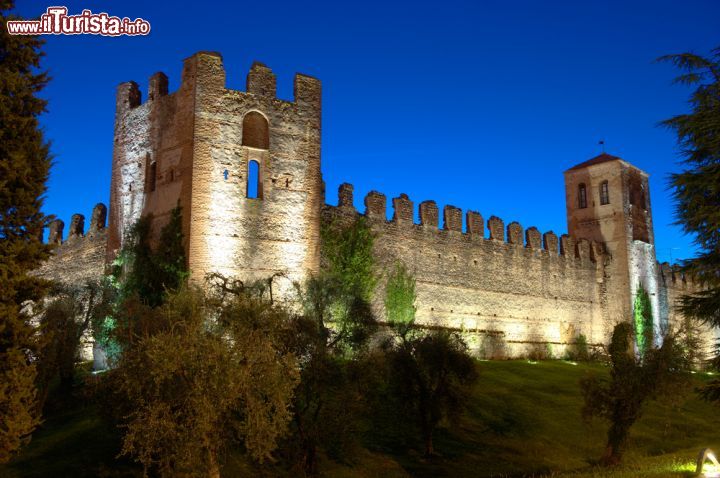 Immagine Il Castello Scaligero di Lazise sul Lago di Garda - © Robert Hoetink / Shutterstock.com