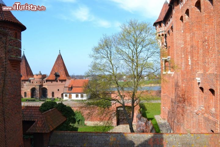 Immagine Castello di Mezzo, Malbork: siamo sul ponte d'accesso al Castello di Mezzo (Zamek średni) da dove si può scorgere, oltre gli alberi, il fiume Nogat scorrere placido. Oltre alle cinte murarie, lo stesso fiume fungeva da valido alleato in fase difensiva.