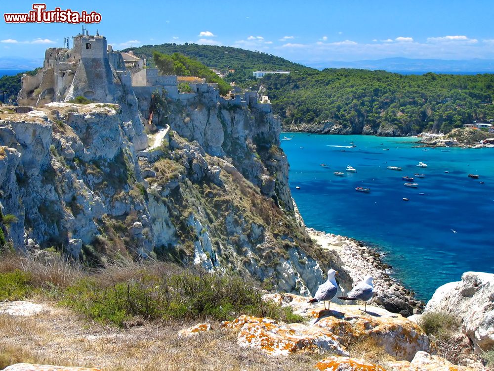 Immagine Il castello sull'isola di San Nicola, la prima ad essere abitata fin dal Medioevo nell'arcipelago delle Tremiti.