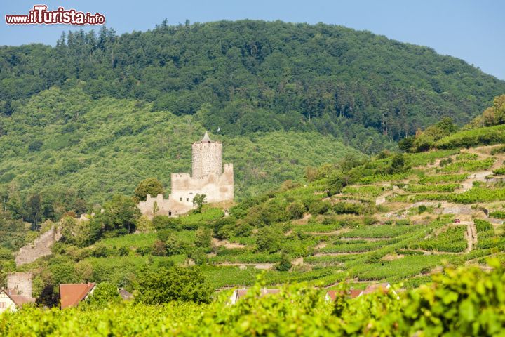 Immagine Il castello di Kaysersberg (Alsazia) risale al XIII secolo e ha ricoperto nel corso della storia un importante ruolo strategico per il controllo del territorio - © PHB.cz (Richard Semik) / Shutterstock.com