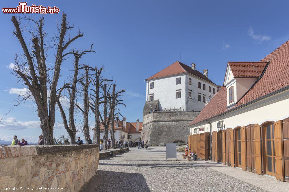 Immagine Il castello medievale di Ptuj, Slovenia, in una giornata di sole invernale. Il castello sorge sulla collina che domina la città dove sono state ritrovate testimonianze preistoriche - © Cortyn / Shutterstock.com