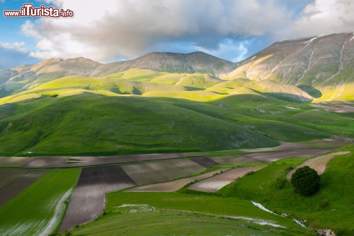 Immagine Castelluccio di Norcia, Umbria, Italia. Il paese si trova a una trentina di km da Norcia ed è raggiungibile attraverso una strada panoramica - © theskaman306 / Shutterstock.com