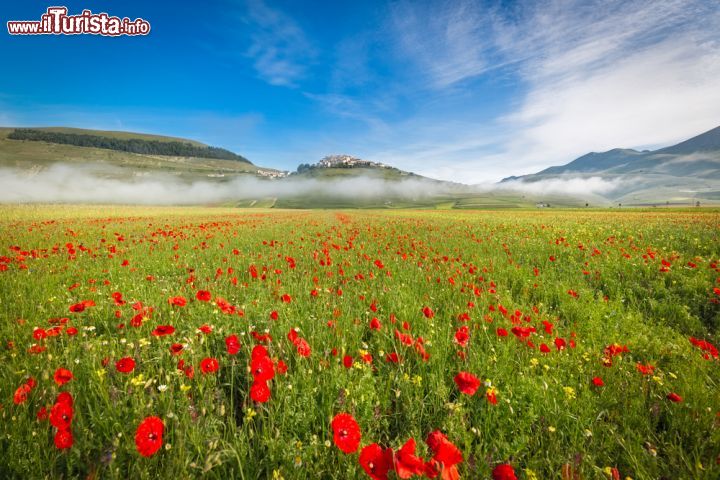 Le foto di cosa vedere e visitare a Castelluccio di Norcia