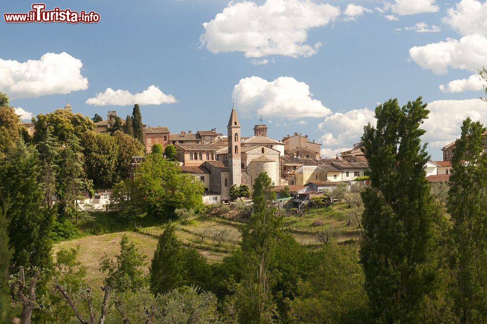 Le foto di cosa vedere e visitare a Castelnuovo Berardenga