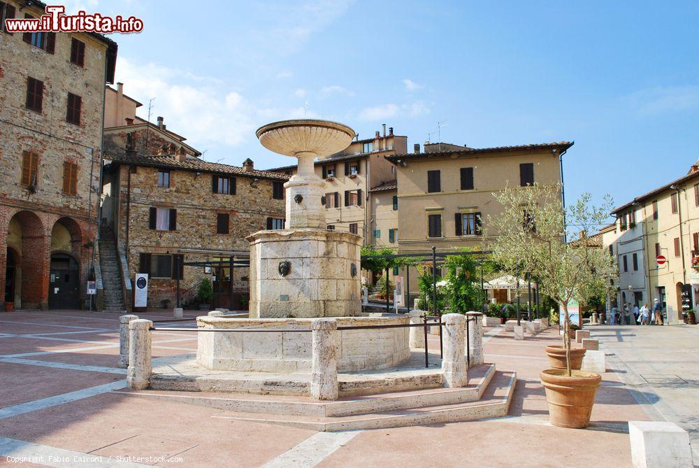Immagine Castelnuovo Berardenga, Siena: la fontana nella piazza principale del paese - © Fabio Caironi / Shutterstock.com