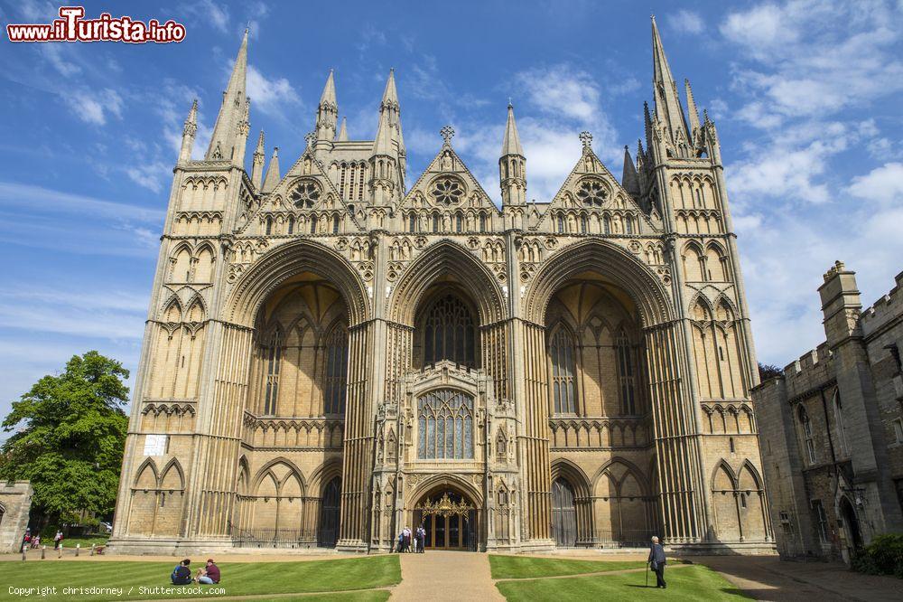 Immagine La cattedrale di Peterborough nel centro storico della città del Cambridgeshire, Regno Unito - © chrisdorney / Shutterstock.com