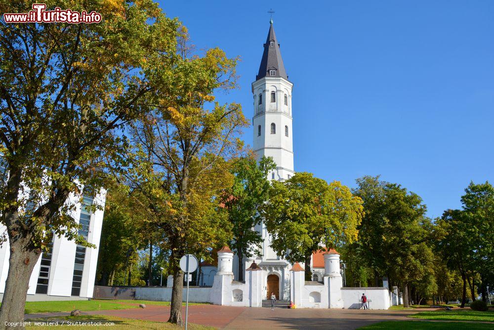 Immagine Cattedrale e campanile di Siauliai, Lituania: dedicato ai santi Pietro e Paolo, questo edificio religioso è uno dei più visitati di tutto il paese dai fedeli - © meunierd / Shutterstock.com