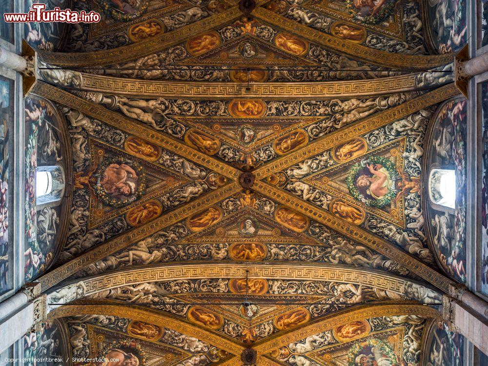 Immagine Dettaglio degli affreschi rinascimentali nella cattedrale di Santa Maria Assunta a Parma, Emilia-Romagna. Il soffitto della chiesa è stata realizzato da Girolamo Bedoli-Mazzola - © pointbreak / Shutterstock.com