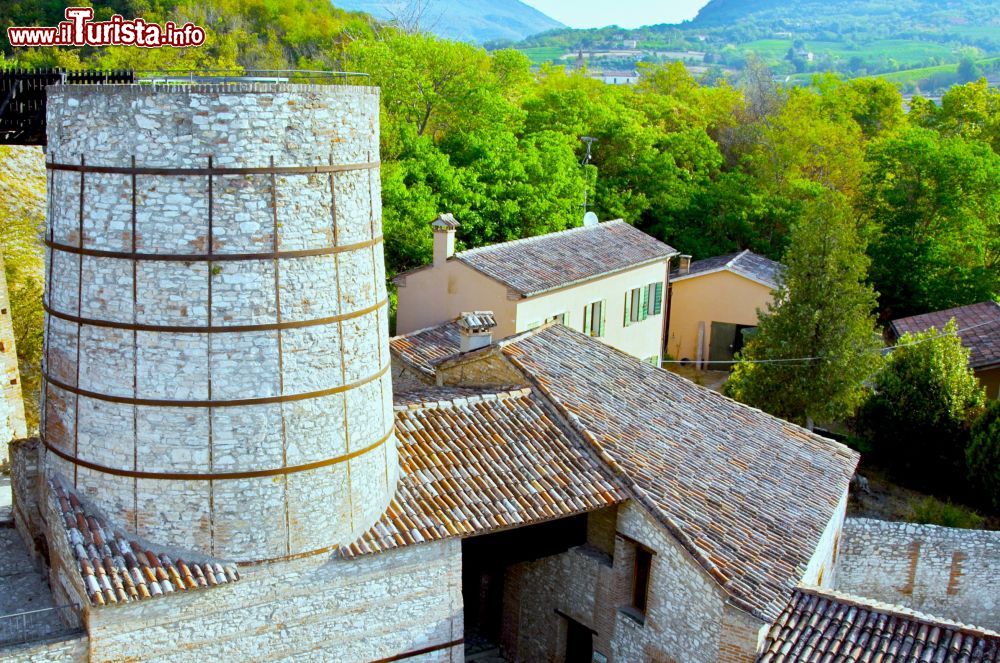 Immagine Il Museo Geopaleontologico di Cava Bomba a Cinto Euganeo in Veneto