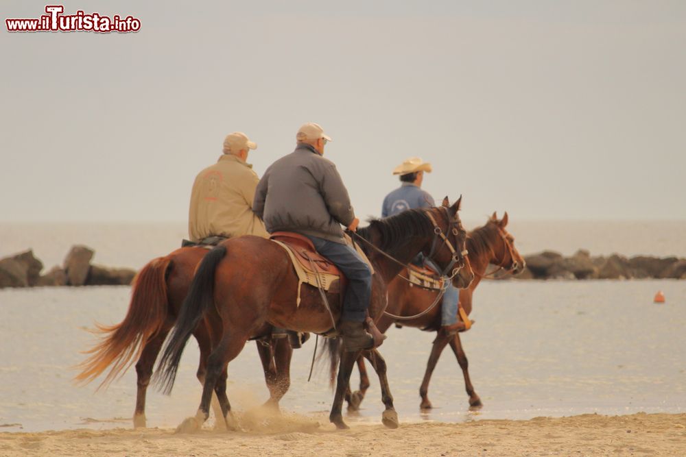 Immagine Cavalli in spiaggia a Lido di Savio in Emilia Romagna