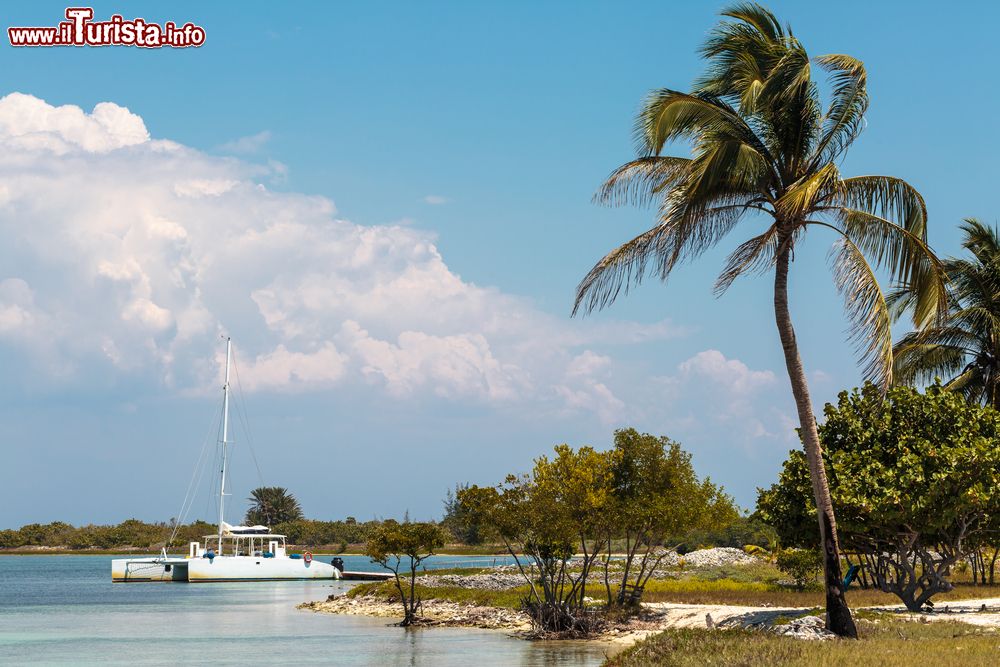 Immagine La bellissima isola di Cayo Blanco (Cuba), al largo di Varadero, è raggiungibile con escursioni organizzate in catamarano.