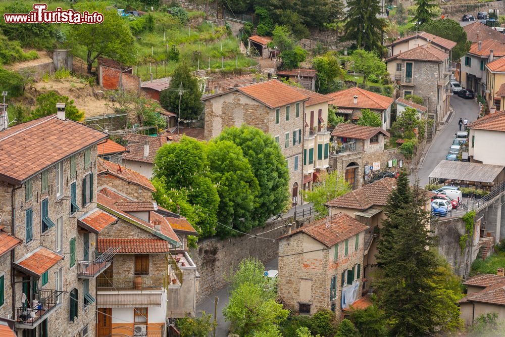Immagine Il centro di Apricale visto dall'alto, Imperia, Liguria. Immerso nel verde, il borgo ha ricevuto fra i tanti riconoscimenti anche quello di Bandiera Arancione del Touring Club Italiano.