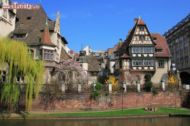 Immagine Centro storico di Strasburgo, Francia - La città si gira comodamente a piedi: è un piacere infatti andare alla scoperta dei suoi angoli più nascosti e caratteristici. Oggi la perla di Strasburgo è la parte centrale della città, la cosiddetta Grande Ile, circondata dai bracci del fiume e annoverata nel 1988 tra i Patrimoni dell’Umanità dell’UNESCO, titolo che nessun altro centro storico aveva mai ricevuto. Da vedere è poi la Cattedrale di Notre-Dame, le cui pietre sono state disposte magistralmente una sull’altra nel corso di ben 400 anni di lavoro, dall’XI al XV secolo, sino ad ottenere l’attuale maestoso edificio che si protende verso il cielo chiaro d’Alsazia. I tre portali che consentono l’accesso al cuore della chiesa sono vegliati da un gruppo di statue severe, mentre sulla testa di chi sta per entrare sfavilla il ricco rosone, fine come un ricamo e elegante come un gioiello. La facciata dell’edificio guarda la piazza su cui si erge anche la Maison Kammerzell, antica proprietà di un facoltoso mercante e oggi sede di un ristorante di alto livello - © Netfalls - Remy Musser / Shutterstock.com