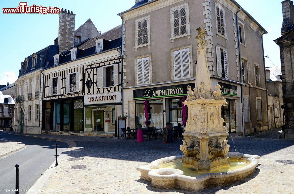Immagine Centro storico della medievale Bourges, Francia, con case a graticcio e una fontana - © Pisarenko Olga / Shutterstock.com