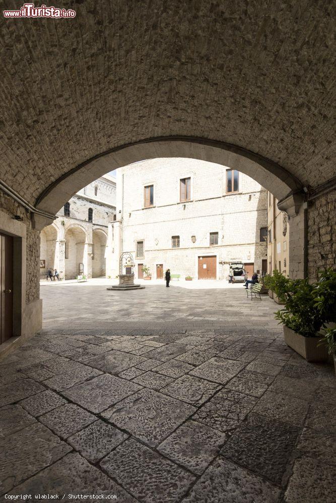 Immagine Centro storico di Bitonto, Puglia: scorcio di antichi edifici con un pozzo nella piazzetta - © wlablack / Shutterstock.com