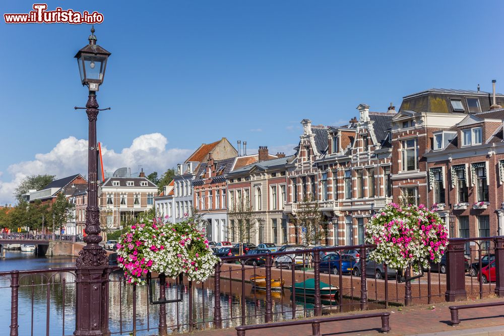 Immagine Centro storico di Haarlem (Olanda): uno dei tanti ponti abbelliti da fiori colorati.