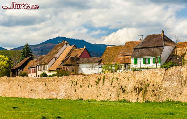 Immagine La perfettamente conservata cerchia di mura del villaggio di Bergheim, nell'est della Francia - © Leonid Andronov / Shutterstock.com