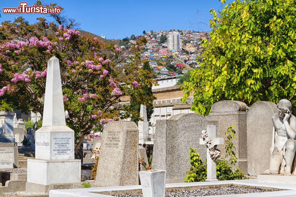 Immagine Il Cerro Panteón ospita il grande cimitero di Valparaíso (Cile). Qui sono sepolti personaggi storici, dissidenti e personalità di spicco cilene - foto © Milosz Maslanka / Shutterstock.com