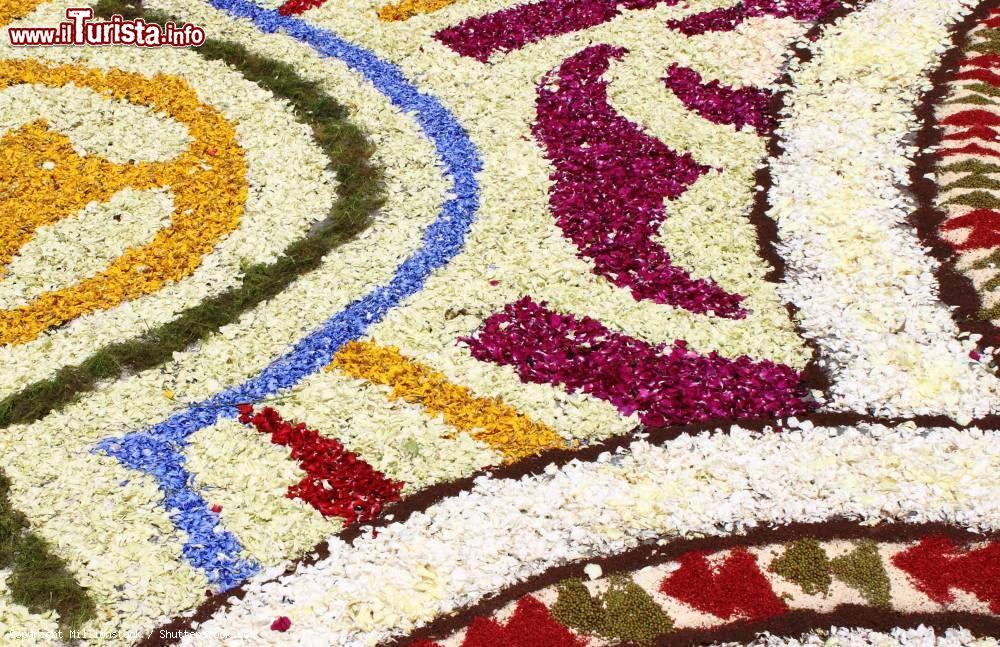 Immagine Cervaro, Lazio: dettaglio Infiorata Corpus Domini - © Millionstock / Shutterstock.com