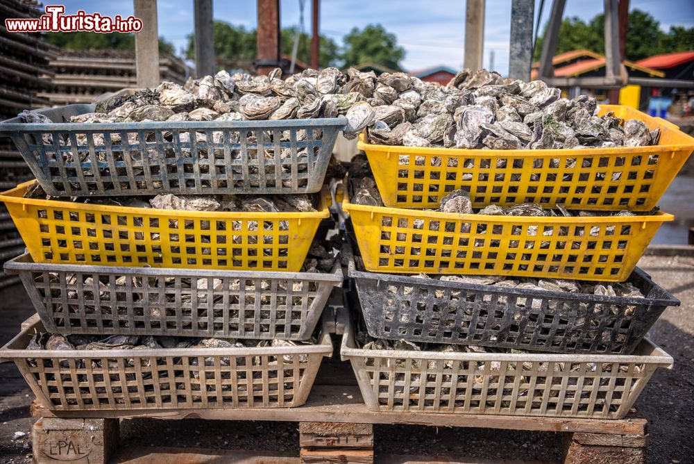 Immagine Ceste di ostriche al porto di La Teste, bacino d'Arcachon, Francia. Il bacino conta 26 porti e circa 700 ettari di parchi dedicati alla coltivazione delle ostriche: ogni anno se ne producono dalle 8 mila alle 10 mila tonnellate.