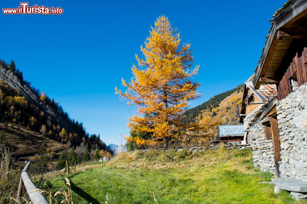 Immagine Chalets a Miage in autunno, Saint-Gervais-les-Bains (Chamonix), Francia.