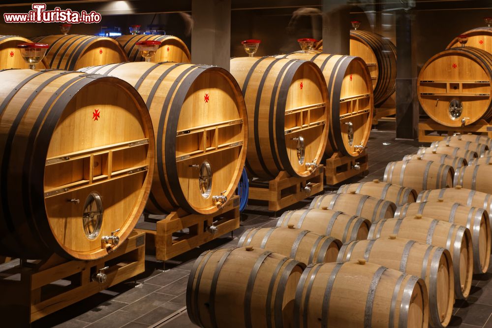Immagine Champagne in botti di rovere in una cantina di Reims, Francia. Qui si celano i segreti del più celebre e festoso dei vini.