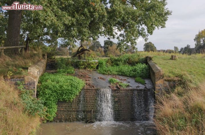 Immagine Charlecote Park a Stratford-upon-Avon, Inghilterra - Dimora della famiglia Lucy sin dal XIII° secolo, questa magnifica abitazione in stile Tudor fatta costruire da Sir Thomas Lucy su un'area piana posta vicino al fiume Avon poggia sulle fondamenta di una casa medievale. Di particolare interesse sono i suoi splendidi camini ornati che si possono ammirare soprattutto dal retro dell'edificio. L'interno è prevalentemente in stile vittoriano. Dietro la dimora si trova un bel parco dove ancora oggi vive, protetto, un branco di cervi © Peter Turner Photography / Shutterstock.com