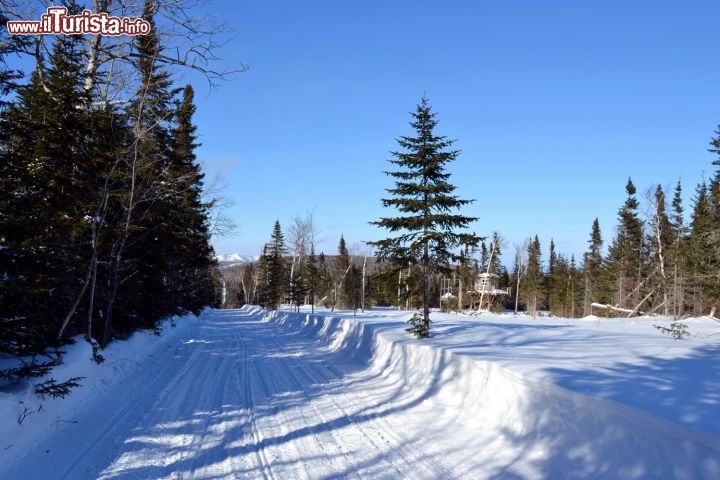 Immagine Charlevoix, Quebec: i sentieri per le motoslitte (o ski-doo) che attraversano i boschi e le montagne sono tracciati ogni anno da oltre cinquemila volontari iscritti ai motoclub. Esistono mappe dettagliate con lalista completa dei sentieri, per chi volesse cimentarsi in un'avventura sullo ski-doo.